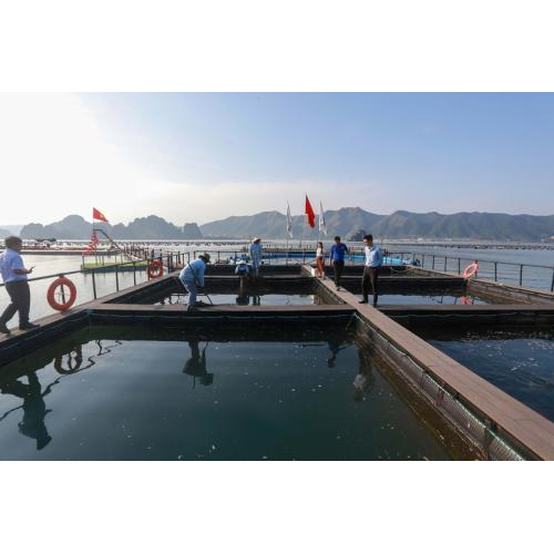 Cần tư duy đổi mới