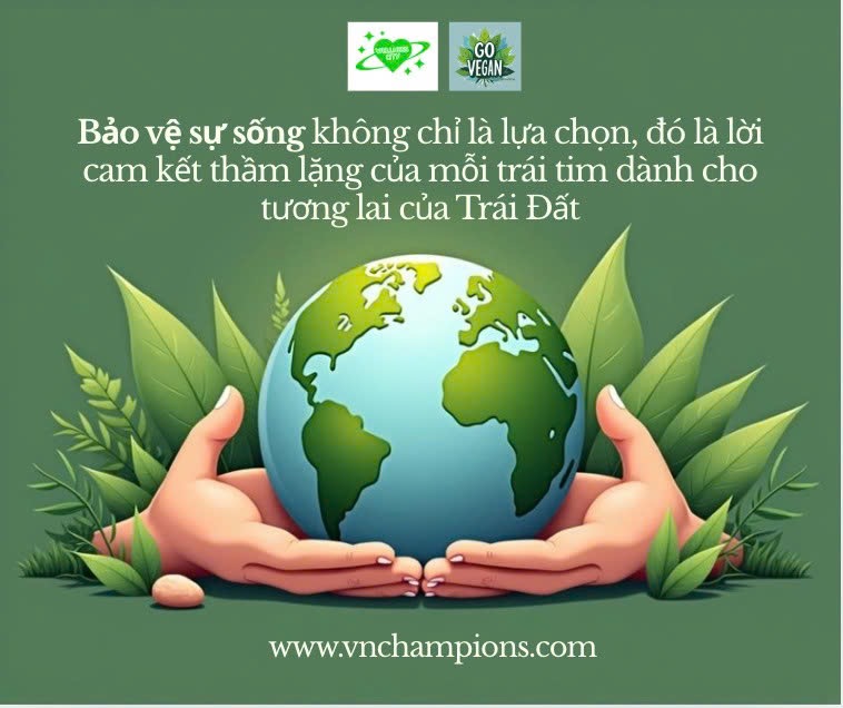 Giới thiệu dự án