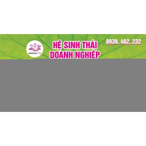 Rộn ràng, hân hoan cùng Lễ Hội Sen Đồng Tháp Lần Thứ II Năm 2024