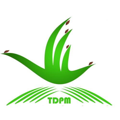 Công Ty TNHH Thảo Điền Phú Mỹ