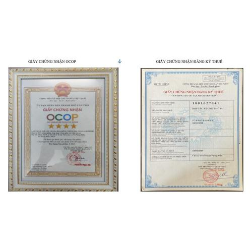 Các loại giấy phép đông trùng hạ thảo