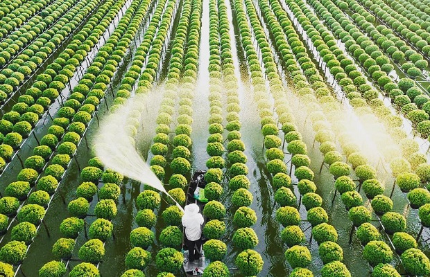 Muôn vàn màu sắc tại Sa Đéc