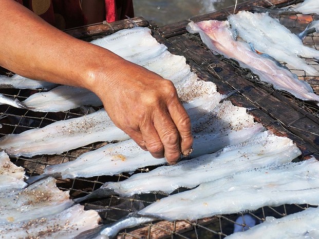 Lịch sử hình thành và phát triển