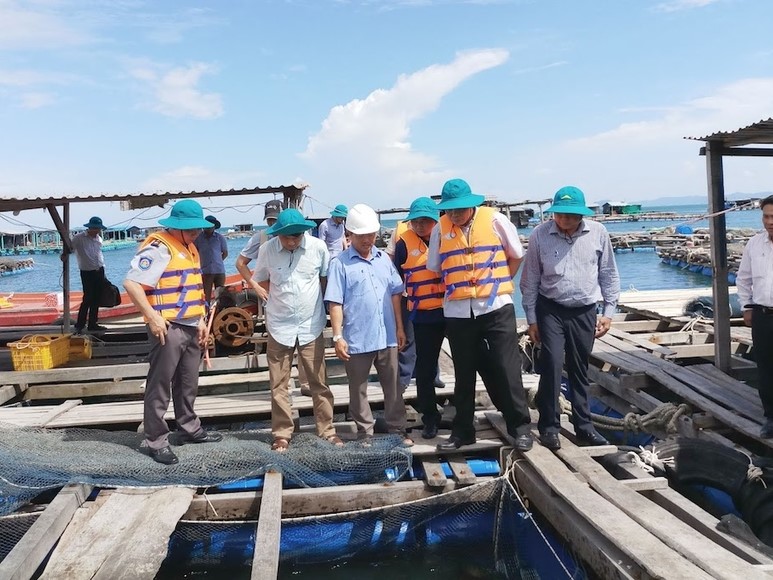 Lịch sử hình thành và phát triển