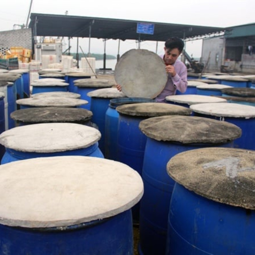 Làng Nghề Nước Mắm Tân An