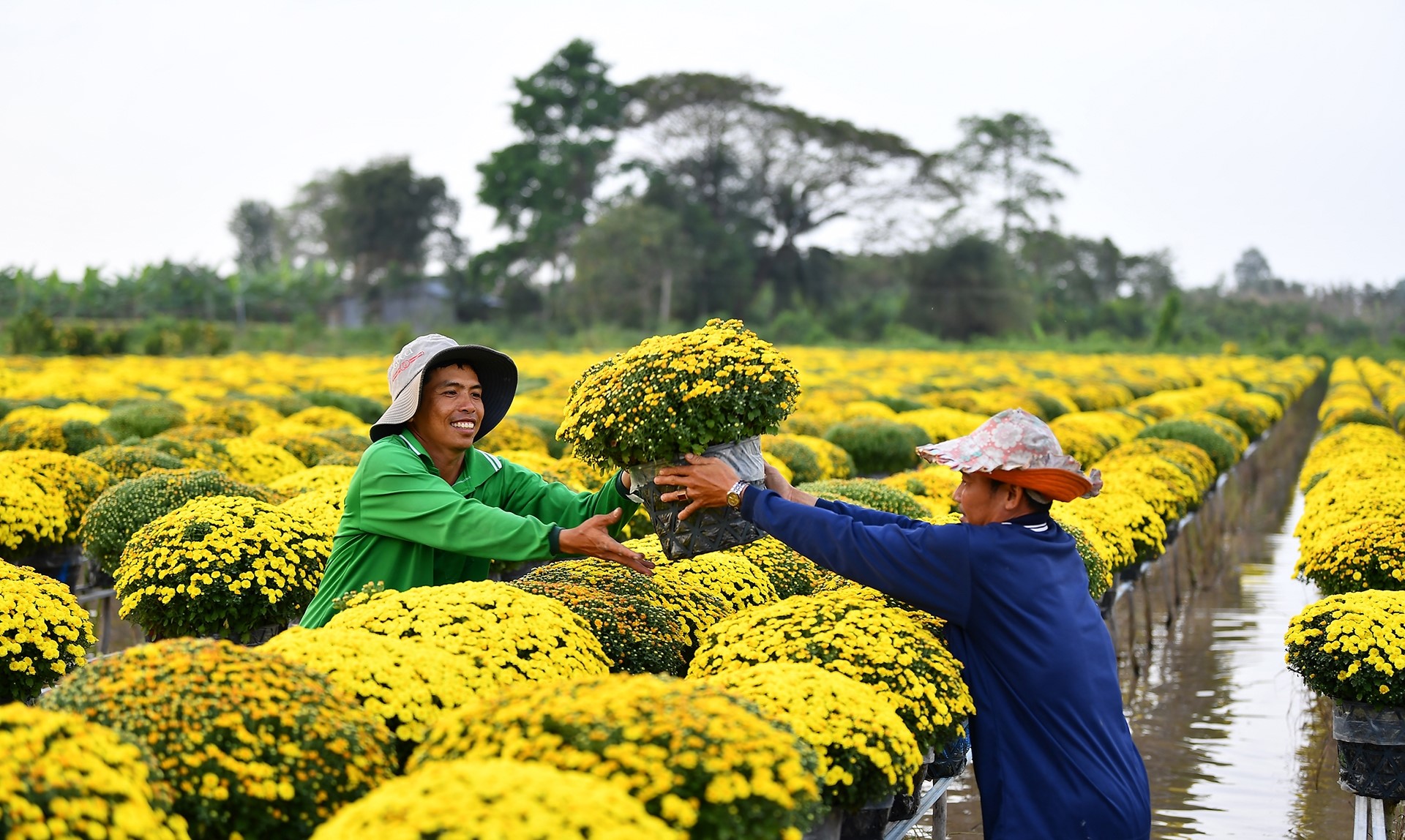 Người dân quê tôi luôn sẵn sàng chào đón bạn!
