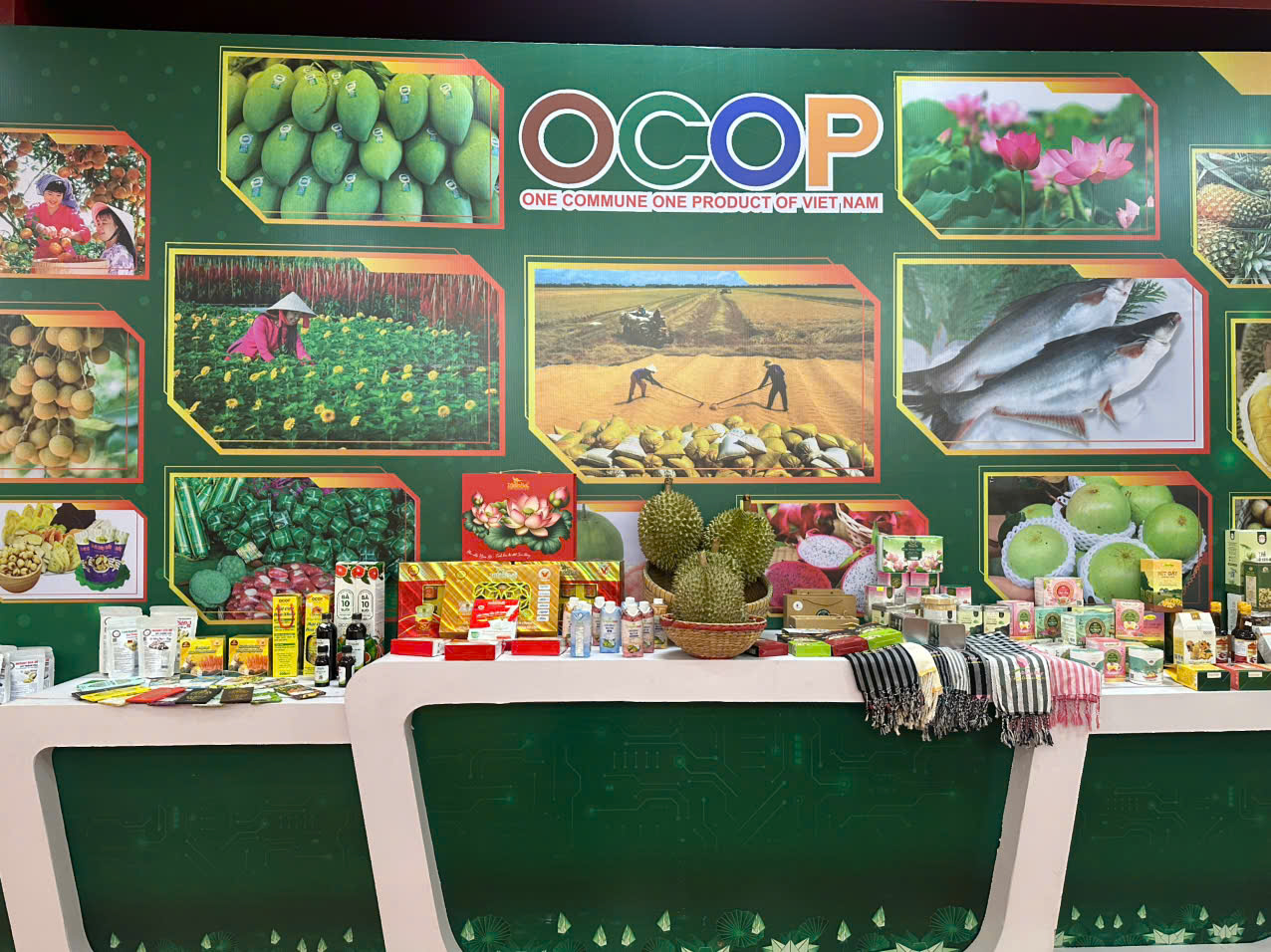 Lan tỏa tinh thần doanh nhân Đồng Tháp