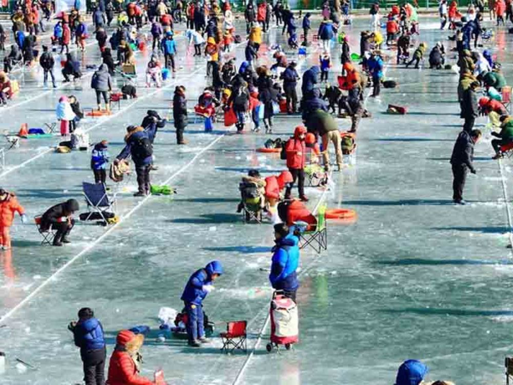 5. Lễ hội câu cá hồi trên băng Sancheoneo Hwacheon