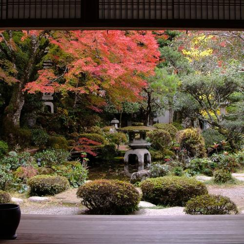 Du Lịch Ngắm Lá Đỏ Nhật Bản : Haneda - Ibaraki - Yamanashi - Tokyo