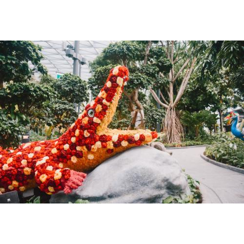 2. Một trong những bộ sưu tập thực vật trong nhà lớn nhất tại Singapore