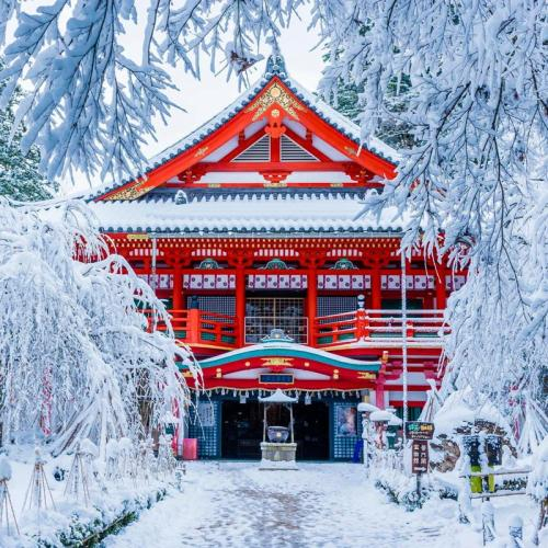 Du Lịch Nhật Bản Trượt Tuyết Fujiten : NARITA – YAMANASHI – TOKYO