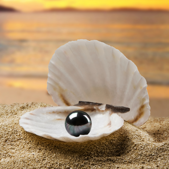 Vì Sao Ngọc Trai Luôn Giữ Được Giá Trị Theo Thời Gian?