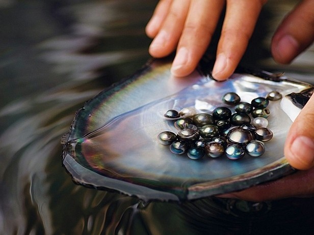 Ý Nghĩa Linh Thiêng & Phong Thủy Sâu Sắc