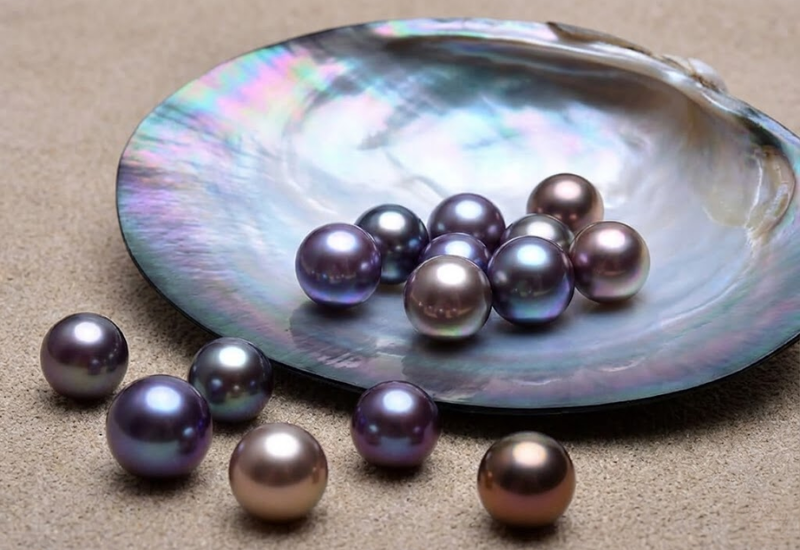 Quá trình nuôi cấy ngọc trai Edison