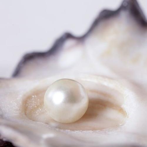 Tại Sao Ngọc Trai Nước Mặn Lại Đắt Hơn Ngọc Trai Nước Ngọt?