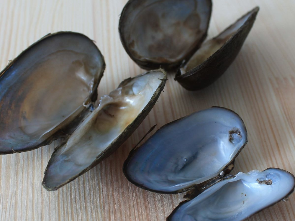 Tính chất vật liệu nhẹ nhưng không quá bền