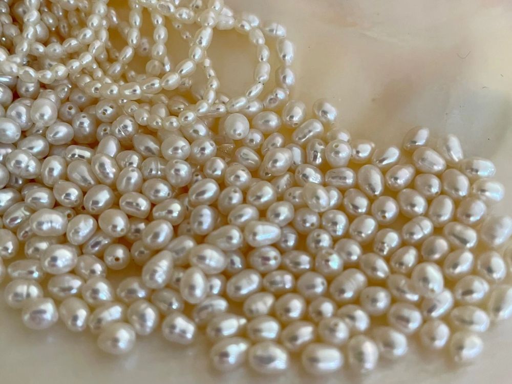 Quy luật tự nhiên và sự kỳ diệu phía sau vẻ đẹp của ngọc trai