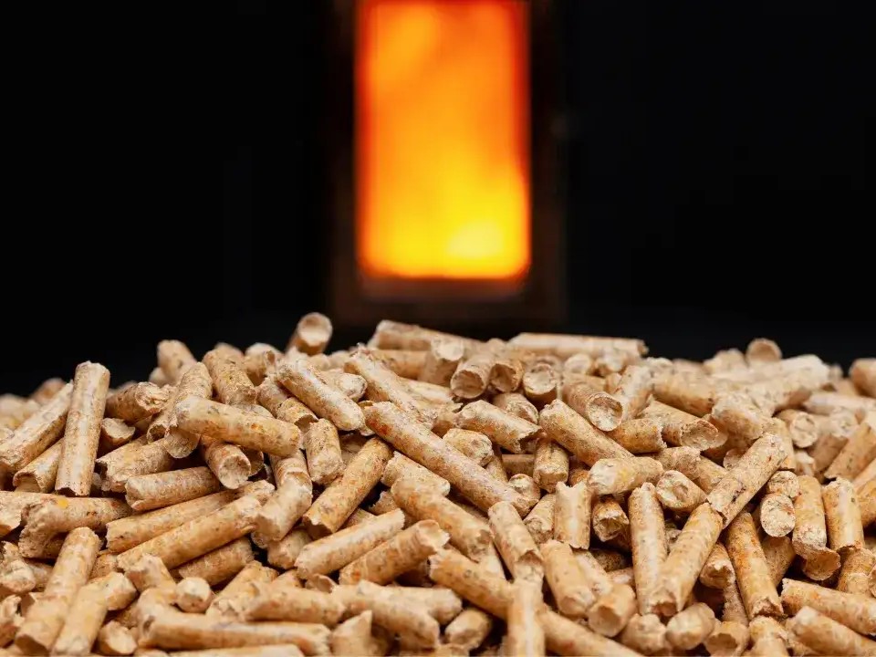 Hạn chế cần lưu ý