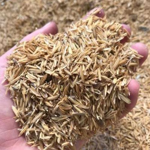 Nhiên Liệu Sinh Học Từ Trấu Có Phải Xu Hướng Tất yếu Hiện Nay?