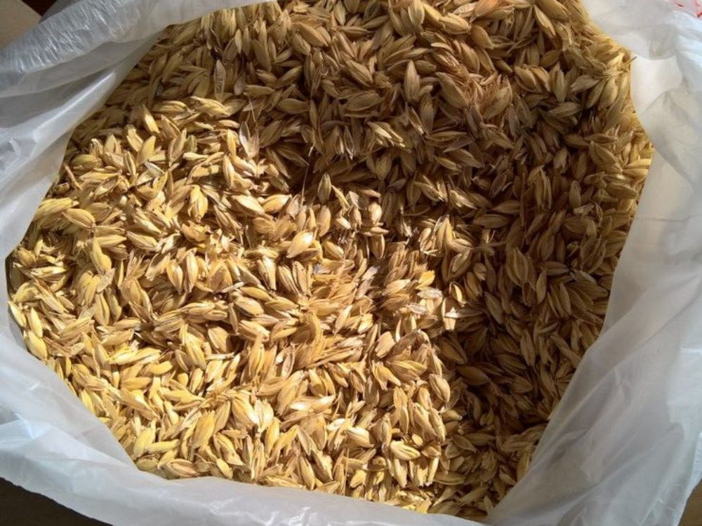 Hàm lượng silica tự nhiên giúp giữ nhiệt lâu