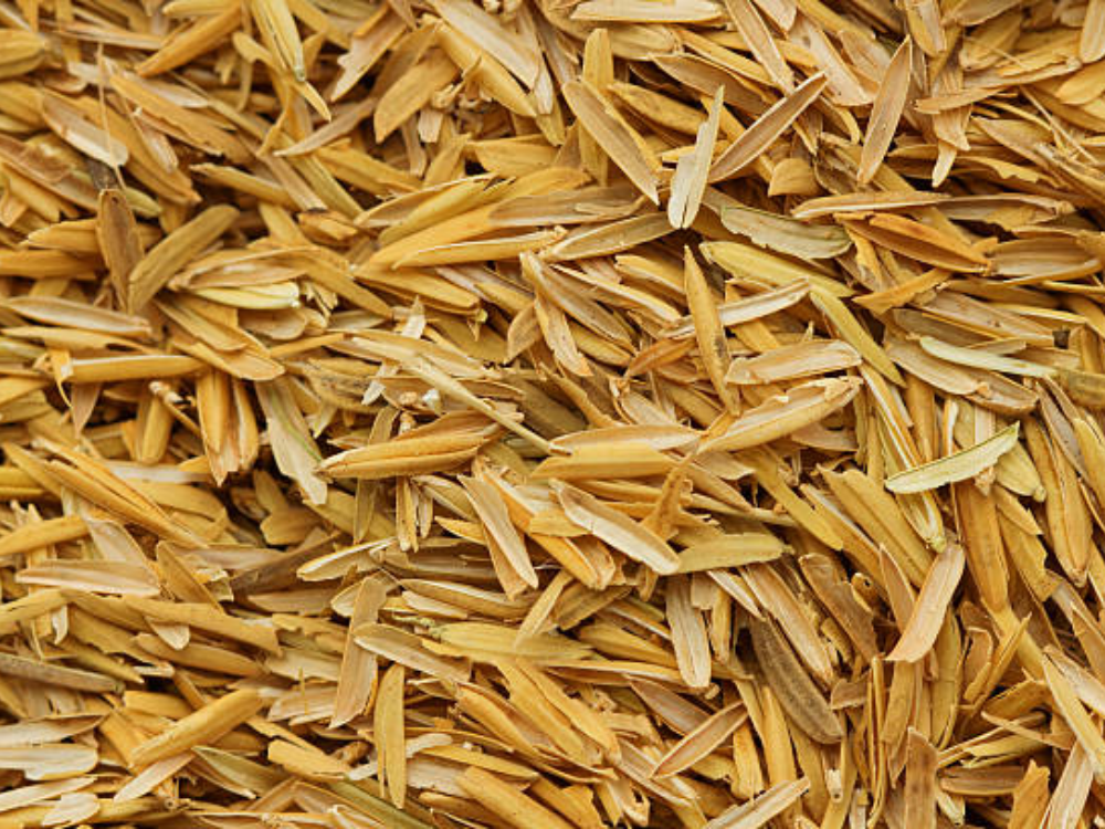 Tận dụng phụ phẩm và giảm lãng phí tài nguyên