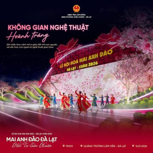 Lễ Hội Hoa Mai Anh Đào - Đà Lạt Xuân 2026