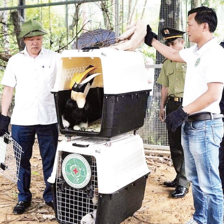 Ứng dụng công nghệ số bảo tồn đa dạng sinh học ở Phong Nha-Kẻ Bàng