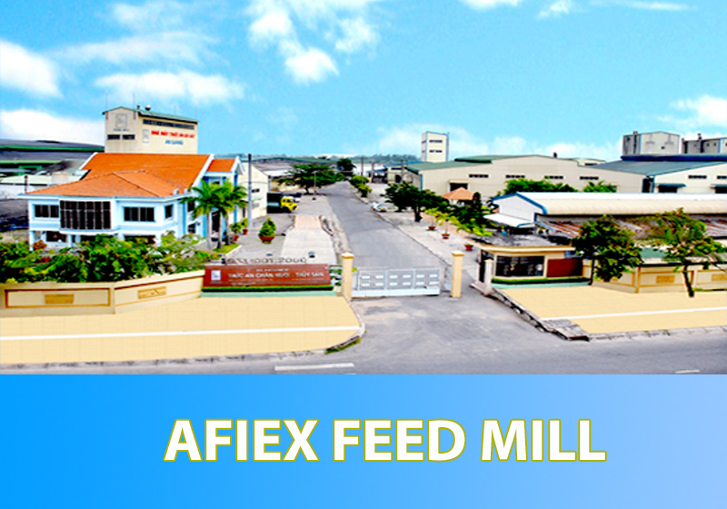 Thông tin đầy đủ