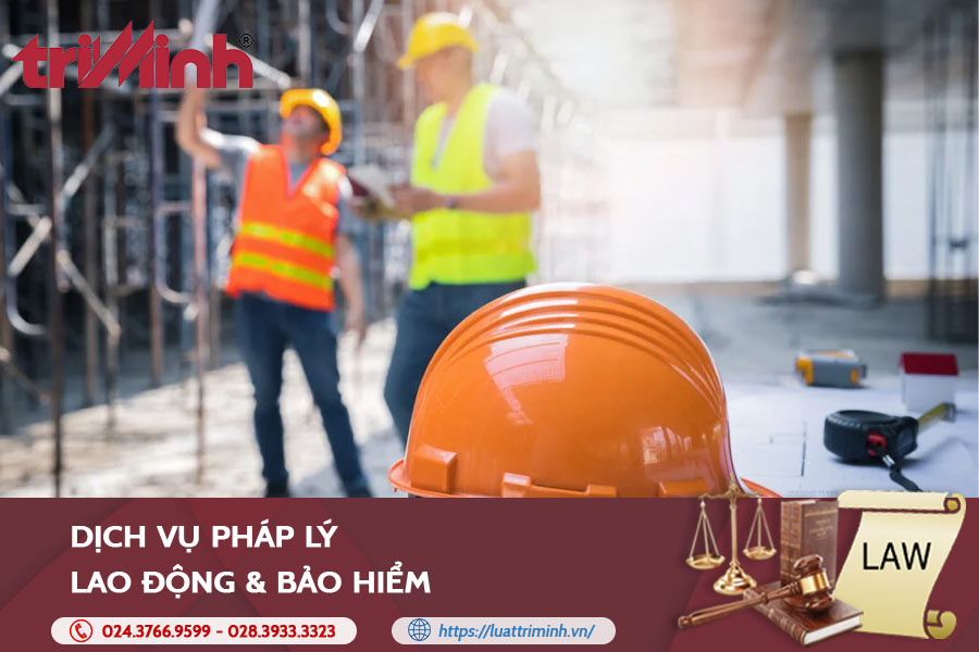Dịch vụ pháp lý lao động và bảo hiểm tại Luật Trí Minh