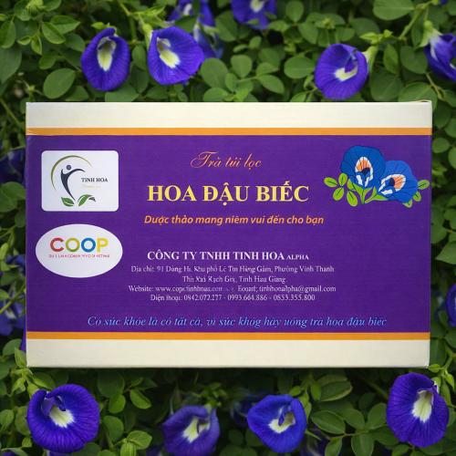 Trà túi lọc hoa đậu biếc