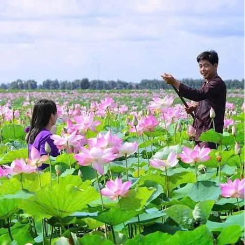 Phát Triển Du Lịch Sinh Thái Rừng Bền Vững