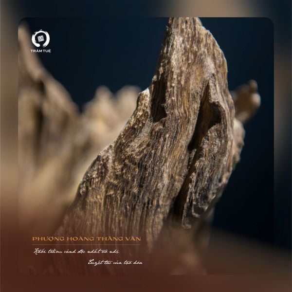 Liên hệ & trải nghiệm