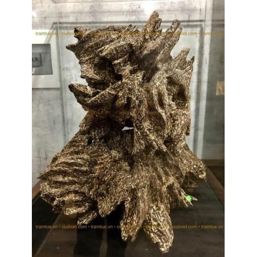 Trầm hương trong sử liệu nước ngoài