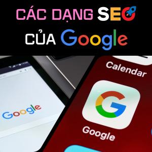 Có Mấy Dạng SEO Của Google?