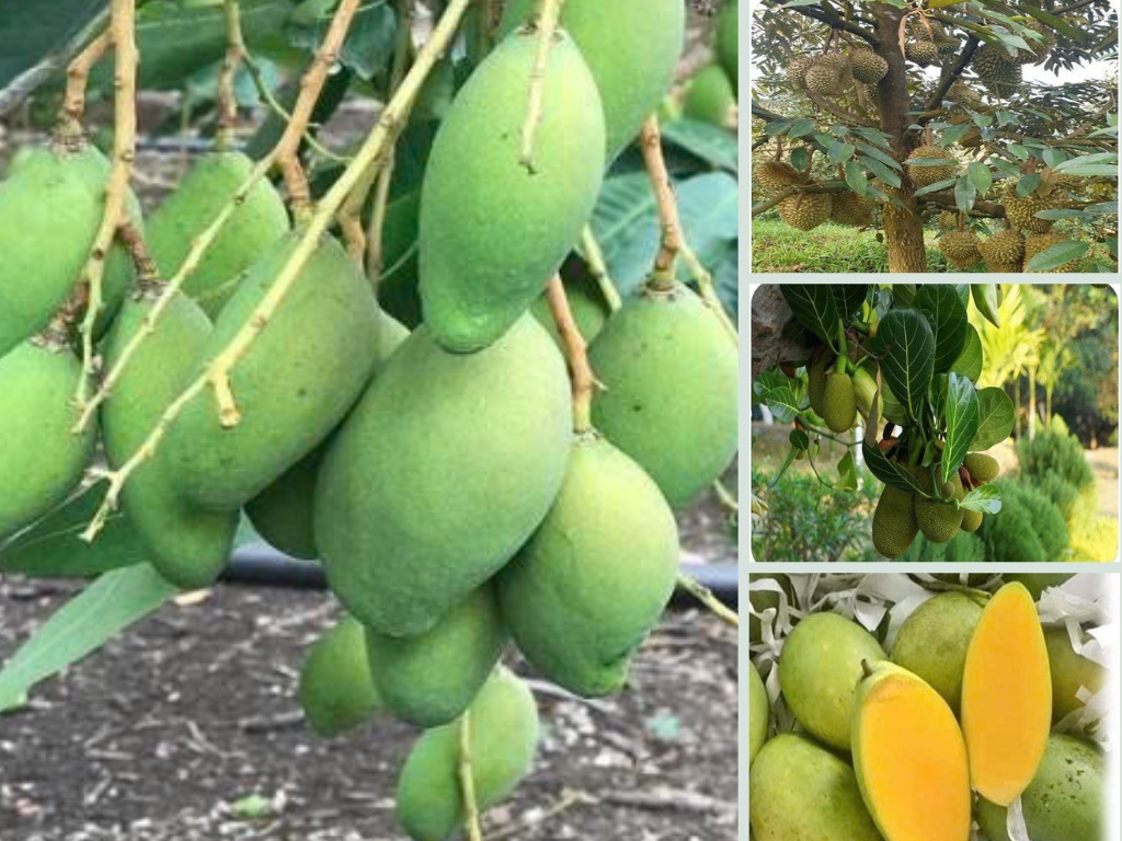 IX. Đáp Ứng Xu Hướng Tiêu Dùng và Mở Rộng Thị Trường