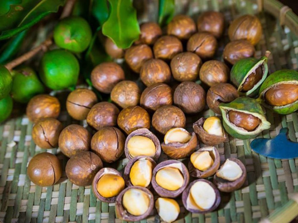 Người đang theo chế độ ăn giảm cân