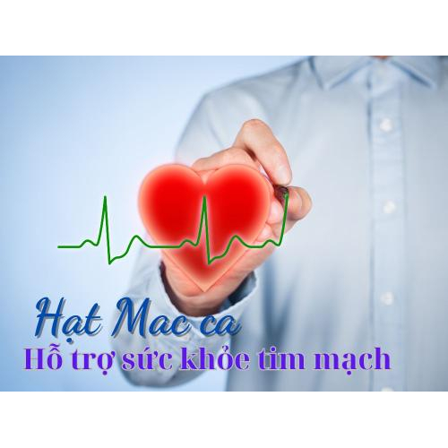 Hỗ trợ sức khỏe tim mạch