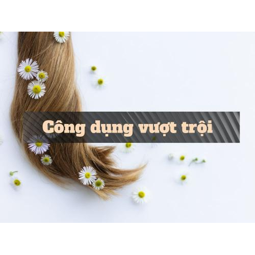 3. Công dụng vượt trội