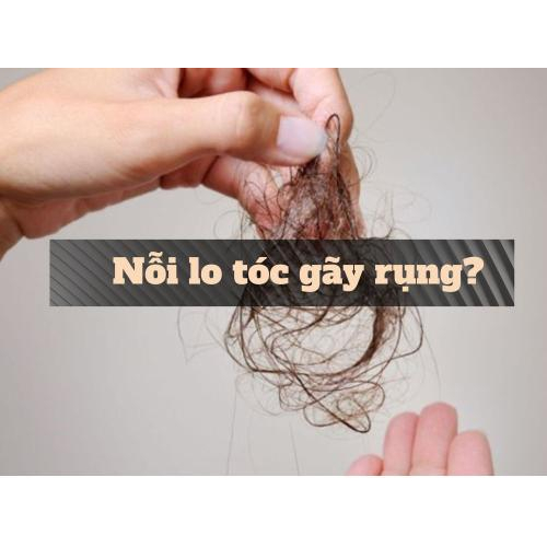 1. Bạn Đang Đối Mặt Với Tình Trạng Tóc Gãy Rụng?