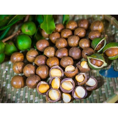 Người đang theo chế độ ăn giảm cân