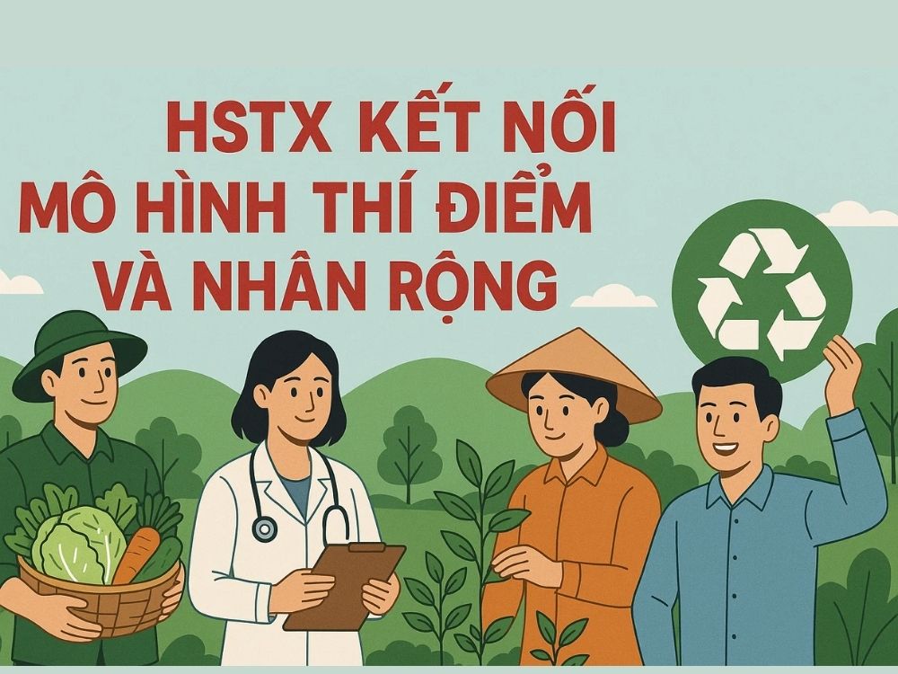 5. HSTX kết nối mô hình thí điểm và nhân rộng
