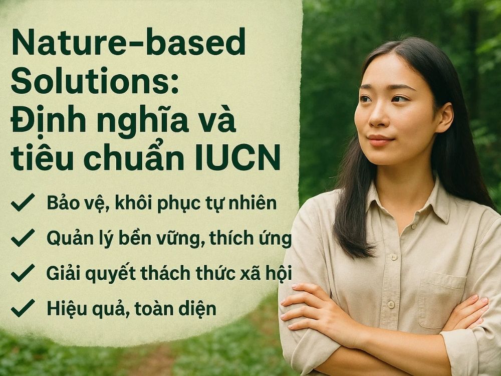 2. Nature-based Solutions: Định nghĩa và tiêu chuẩn IUCN