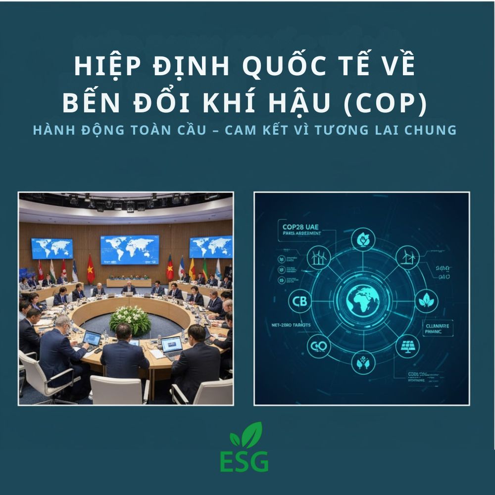 Hiệp Định Quốc Tế Về Biến Đổi Khí Hậu (COP)