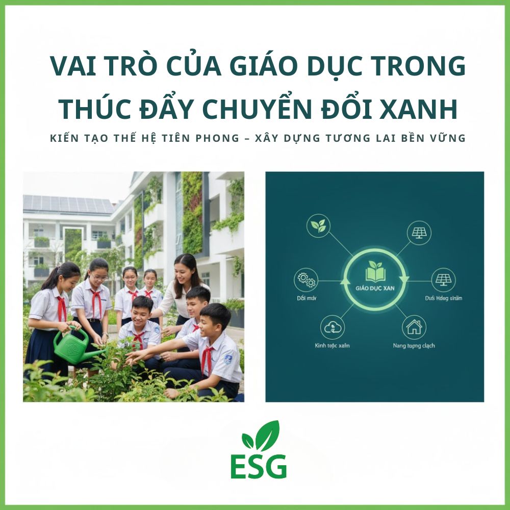 Vai Trò Của Giáo Dục Trong Thúc Đẩy Chuyển Đổi Xanh