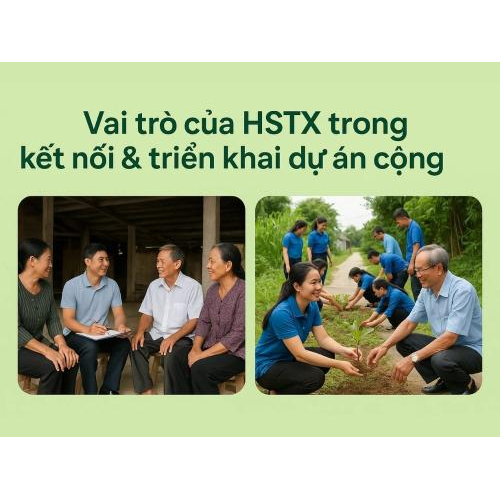 5. Vai trò của HSTX trong kết nối và triển khai dự án cộng đồng
