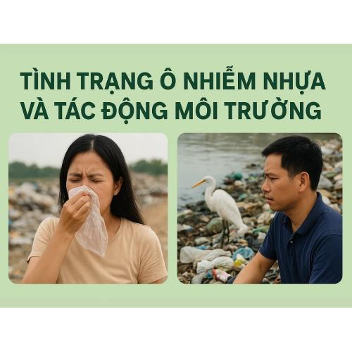 1) Tình trạng ô nhiễm nhựa và tác động môi trường