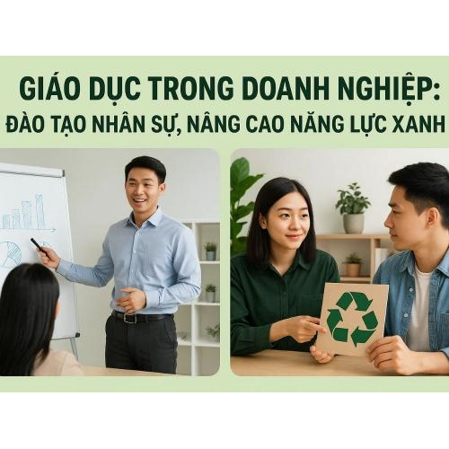 3) Giáo dục trong doanh nghiệp: đào tạo nhân sự, nâng cao năng lực xanh