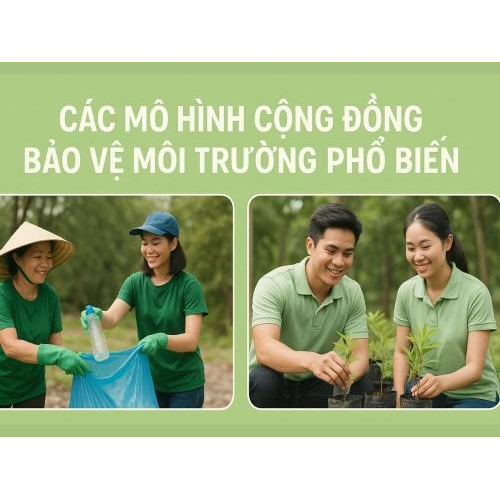2) Các mô hình cộng đồng bảo vệ môi trường phổ biến