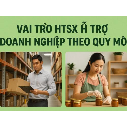 5) Vai trò HSTX hỗ trợ doanh nghiệp theo quy mô