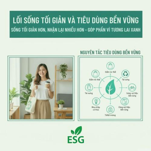 Lối Sống Tối Giản và Tiêu Dùng Bền Vững: Giải Pháp Gọn Gàng Cho Tương Lai Xanh